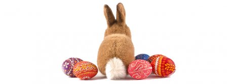 Easter Eggs Bunny 2021 Facebook Covers